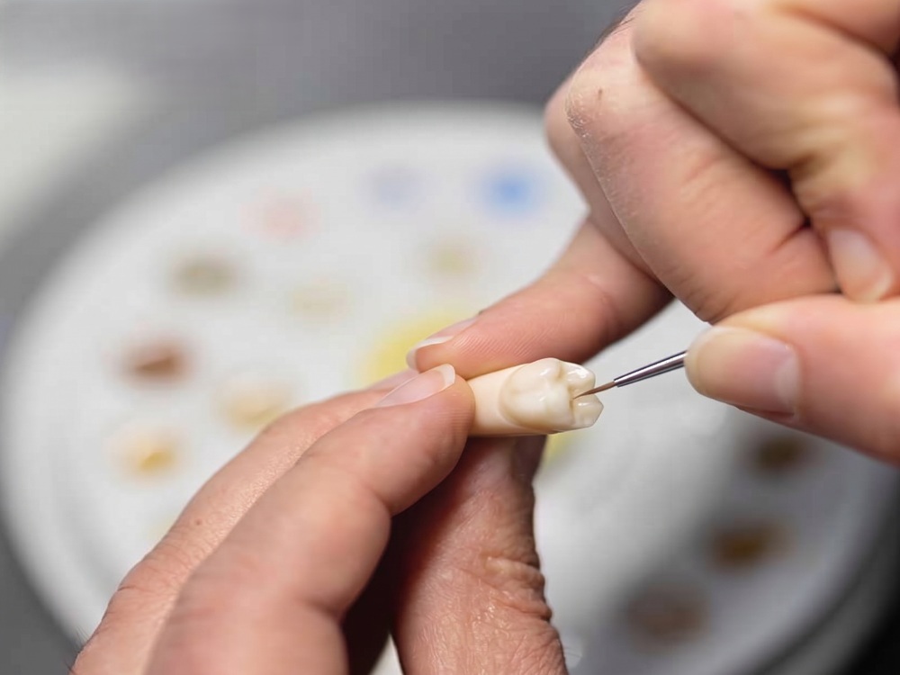 VITA AKZENT LC GINGIVA KIT